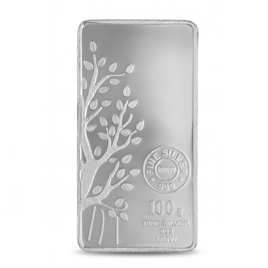 100 Gram Silver Bar
